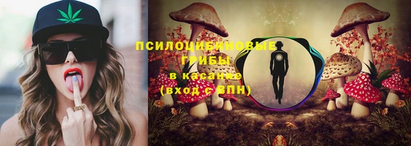 ГАЛЛЮЦИНОГЕННЫЕ ГРИБЫ Абдулино