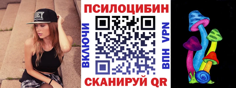 Псилоцибиновые грибы мухоморы  даркнет сайт  Торопец 